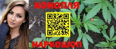 молекула духа Будённовск