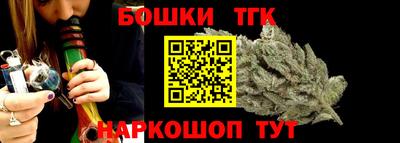 молекула духа Будённовск